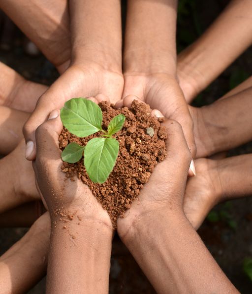 Thumbnail - Lingkungan