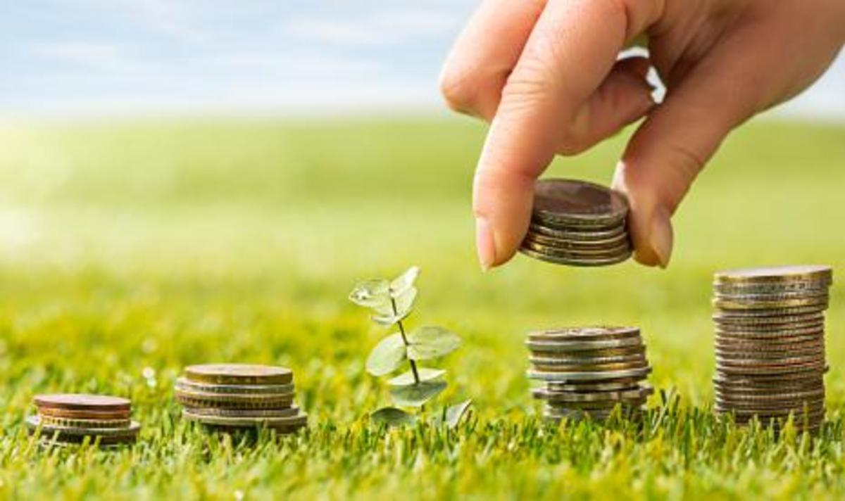 Kepastian Investasi di Indonesia Terganjal RDTR, NSDIP Diusulkan sebagai Solusi